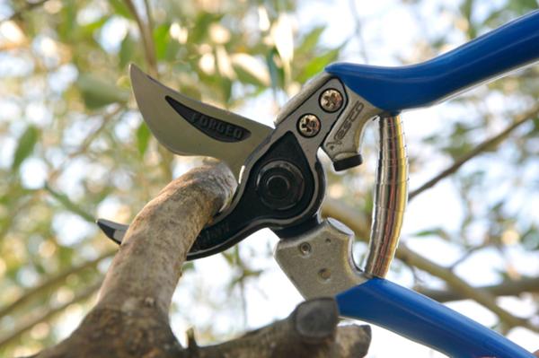 A10 - Multi-purpose shears