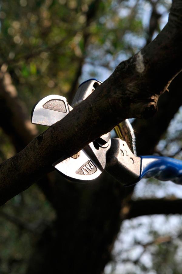 A2 - Double-cut pruning shears (size ML)