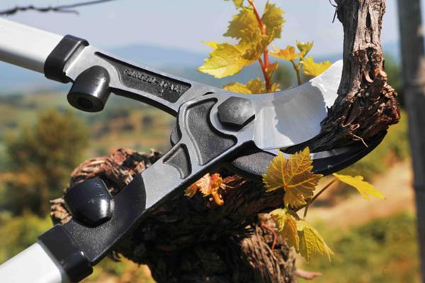 V-RAPTOR - V50 - Direct by-pass branch-cutters