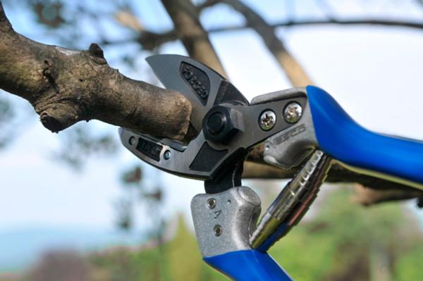 A4 - Anvil pruning shears (size S)