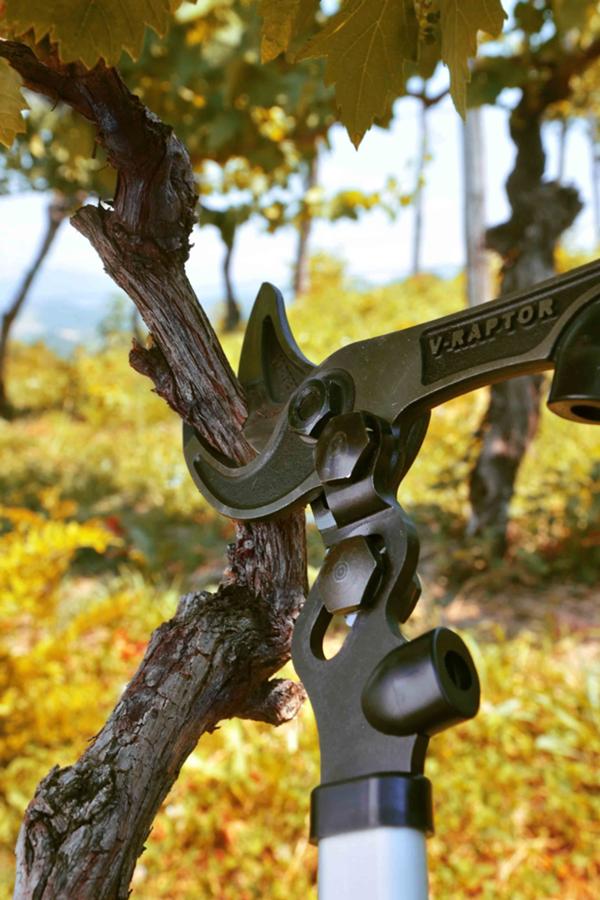 V-RAPTOR - V60 - By-pass branch-cutters with lever